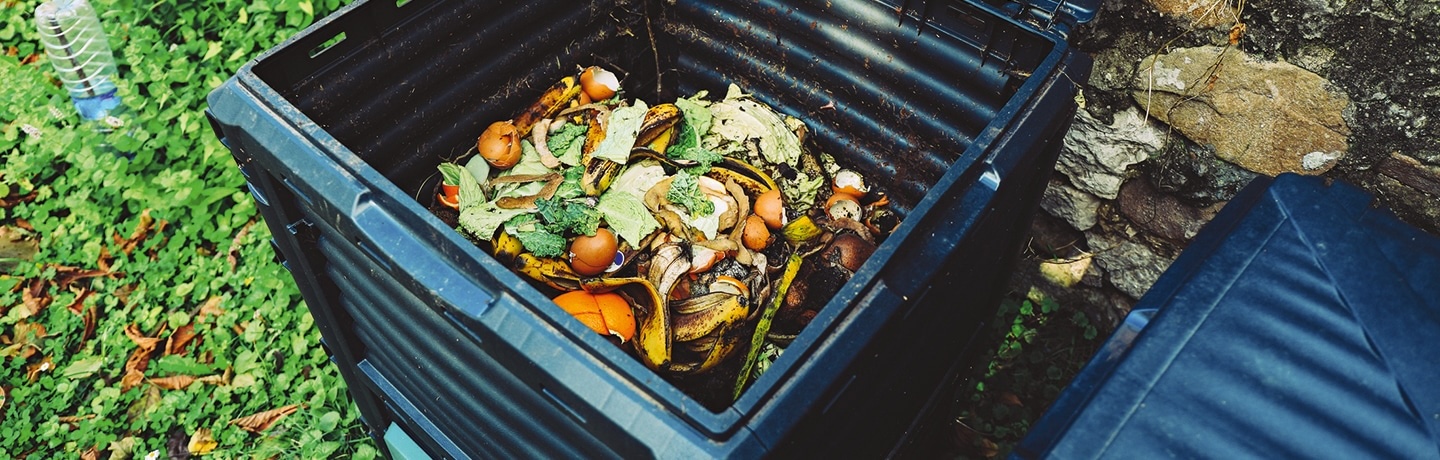 Compost bin with organic waste